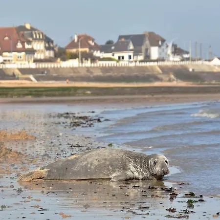 L'appart' Du Bord De 150m De La Appartement Lion-sur-Mer