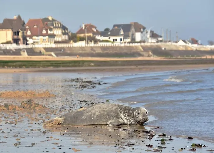 L'appart' Du Bord De 150m De La アパート リオン・シュル・メール